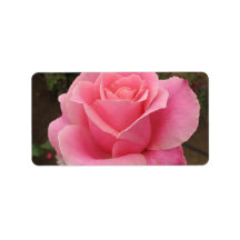 Pink Rose Address Label