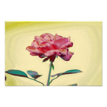 Pink rose art photo