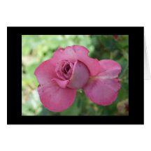 Pink Rose (Blank Card)