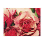 Pink Rose Bouquet Fine Art Photograph Postcards