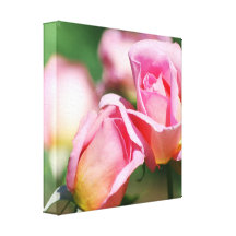 Pink Rose Bud Canvas Print