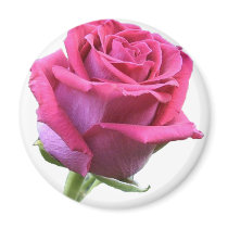 Pink Rose Bud Magnet