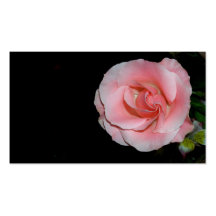 Pink Rose Business Cards