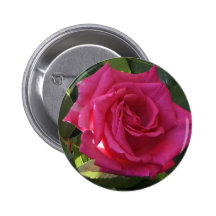 Pink Rose Button - for Valentine's Day?