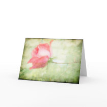 Pink Rose Greeting Card