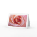Pink Rose cards