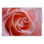 Pink Rose Greeting Cards