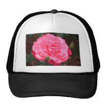 Pink Rose & Dew Trucker Hat