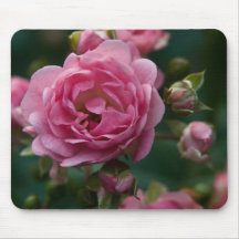 Pink Rose DSC3266 Mousepads