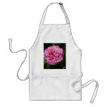 Pink Rose DSC3335 Apron