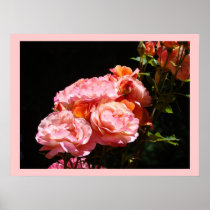 Pink Rose Flowers Fine art Prints Roses