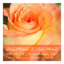 Pink Rose Flowers Save the Date Invite