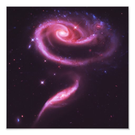 Pink Rose Galaxies Photo