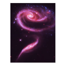 Pink Rose Galaxies Postcards