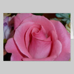 Pink Rose Greeting Card cards