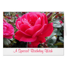 Pink Rose Happy Birthday Greeting Card - Verse
