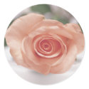 Pink Rose invitation stickers