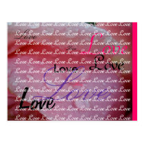 Pink rose Love greeting postcards