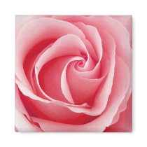Pink Rose Magnet - Square