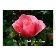 pink rose mother's day card