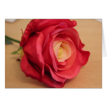 Pink Rose mother's Day Card
