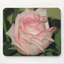 Pink Rose Mousdepad mousepads