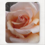 Pink Rose mousepads