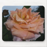 Pink Rose mousepads