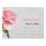 Pink Rose on Gray Save the Date Postcard postcards