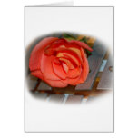 Pink Rose on Metal Mallet Bells Greeting Card