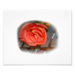 Pink Rose on Metal Mallet Bells Art Photo