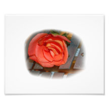 Pink Rose on Metal Mallet Bells Art Photo
