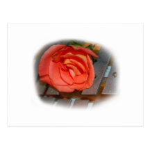 Pink Rose on Metal Mallet Bells Postcards