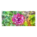 Pink rose pencil drawing full color rack card