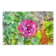 Pink rose pencil drawing photo