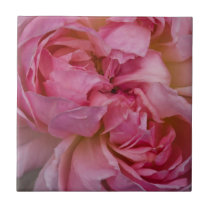 Pink Rose Petal Tile