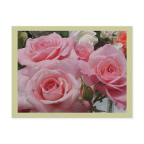 Pink Rose Postcard