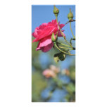 Pink rose rack card template