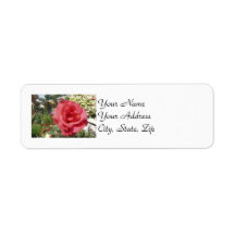 Pink Rose Return Address Labels