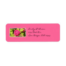 Pink rose return address labels