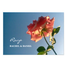 Pink rose Rsvp Invite