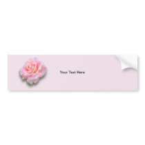 Pink Rose 'Scentsation' Bumper Sticker