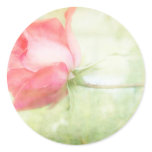 Pink Rose stickers
