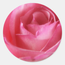 Pink Rose sticker