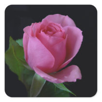 Pink Rose Sticker - square stickers