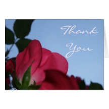 Pink Rose Thank You Card