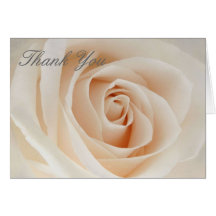 Pink Rose Thank You Card