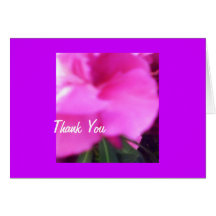 Pink Rose Thank you note Greeting Cards