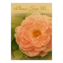Pink Rose Wedding II Personalized Announcement