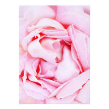 Pink Rose Wedding Invitation